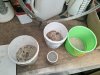 IMG_20200116_165101.jpg